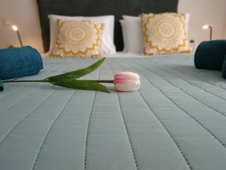 Stelisioanna Apartment Chania  ภายนอก รูปภาพ